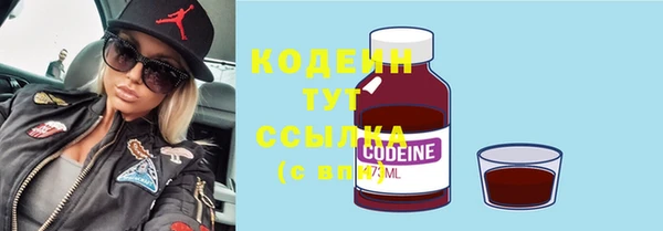 гашик Липки