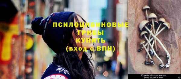 ешки Лиски