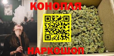 apvp Гагарин