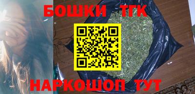 скорость Гатчина