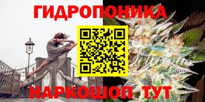 скорость Гатчина