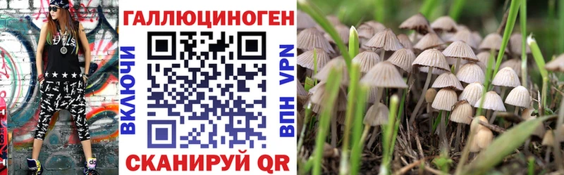 где купить наркоту  omg ссылка  Псилоцибиновые грибы Psilocybe  Приморско-Ахтарск 