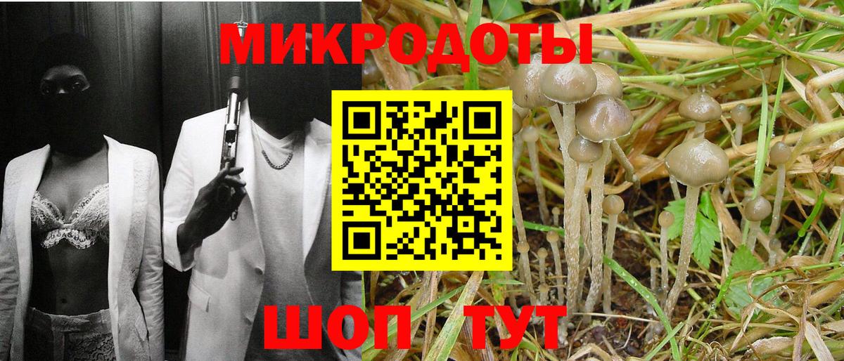 Галлюциногенные грибы Magic Shrooms Приморско-Ахтарск