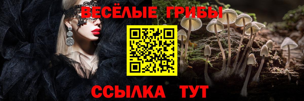 Псилоцибиновые грибы GOLDEN TEACHER Приморско-Ахтарск